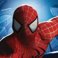 SPIDER-MAN Stuntman Files $6M Law Suit Over Injuries