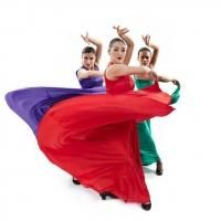 The New York Public Library for the Performing Arts and Flamenco Vivo Carlota…