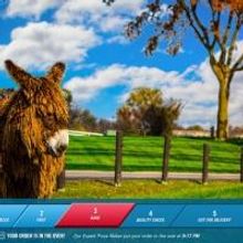 Domino's Pizza Prepares for Biggest Delivery Day of the Year, Launches Tracker on You