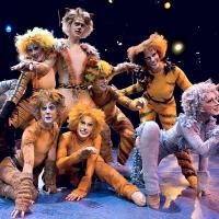 Beef & Boards Dinner Theatre to Present CATS, 2/6-3/30
