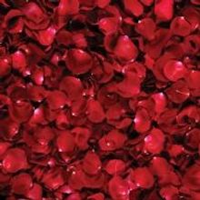 THE TRAGEDY OF MARIAM and More Set for Lazarus Theatre's Fall 2013 Season