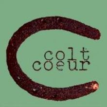 Colt Coeur's Play Hotel Reading Series to Feature SHE RODE HORSES LIKE THE STOCK EXCH