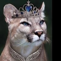 THE GRAND DUCHESS OF GEROLSTEIN, OSCAR and More Set for Santa Fe Opera's 2013-14…