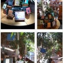 Archipelago Books Announces Skylight Books As It's Independent Bookstore Contest Winn