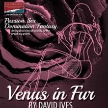 Kitchen Theatre Presents David Ives' VENUS IN FUR, Now thru 2/9