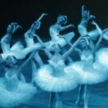 Moscow Festival Ballet to Bring SWAN LAKE to Harris Center, 2/4-6