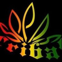 Reggae Band Tribal Seeds Set for Hard Rock Live Las Vegas Tonight