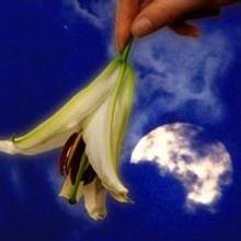 New Rep to Tour A MIDSUMMER NIGHT'S DREAM, 7/13-20