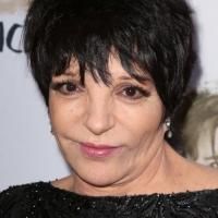 Liza Minnelli Gives Thumbs Up to Michelle Williams Casting