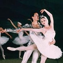 Russian National Ballet Brings SWAN LAKE to Spencer Theater Tonight