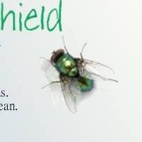 BWW Reviews: Shabach Enterprise's World Premiere of FLY IN THE WINDSHIELD is Engrossi Photo