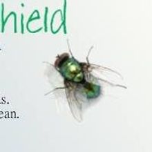 BWW Reviews: Shabach Enterprise's World Premiere of FLY IN THE WINDSHIELD is Engrossi