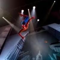 SPIDER-MAN Ticket Sales Suffer After Actor Injury