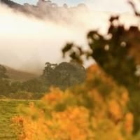 It's California Wine Month: A Great Reason To Visit Wine Country This September