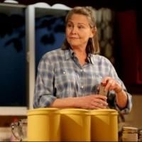MTC's WHEN WE WERE YOUNG AND UNAFRAID, Starring Cherry Jones, Enters Final Week