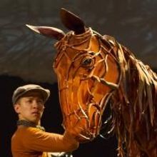 BWW Reviews: WAR HORSE at The Paramount Goes Beyond Theater and into Art