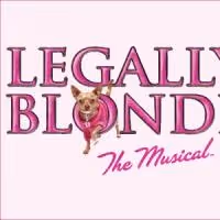 Haley Jane Schafer, Greg Foster & More to Star in Big Noise Theatre's LEGALLY BLONDE