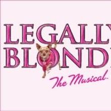 Haley Jane Schafer, Greg Foster & More to Star in Big Noise Theatre's LEGALLY BLONDE