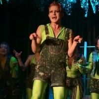 BWW Interviews: BCT Series - Colton Berry Talks Conceptualized Pool Noodles, Skittle…