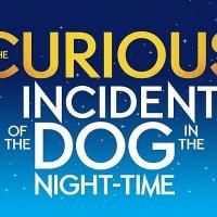 Graham Butler to Star in 'CURIOUS INCIDENT' After Move to Gielgud Theatre, June 2014