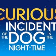 Graham Butler to Star in 'CURIOUS INCIDENT' After Move to Gielgud Theatre, June 2014