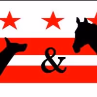 dog & pony dc's BEERTOWN Makes NYC Premiere at 59E59 Theaters, Now thru 2/16
