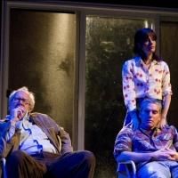 Breaking News: THE REALISTIC JONESES, Starring Toni Collette, Michael C. Hall, Tracy…
