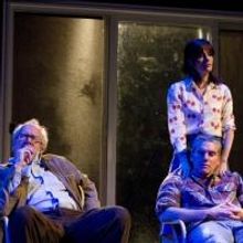 Breaking News: THE REALISTIC JONESES, Starring Toni Collette, Michael C. Hall, Tracy…