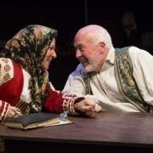 BWW Reviews: Stages' Provocative THE LANGUAGE ARCHIVE is Flawed But Fascinating