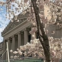 Brooklyn Museum to Offer Free Admission to Younger Visitors