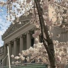Brooklyn Museum to Offer Free Admission to Younger Visitors