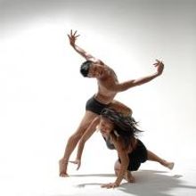 STRICTLY SEATTLE to Feature Six New Works by Local Choreographers, 7/25-26