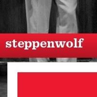 Steppenwolf's Theatre Company's 2013/14 Season Announced
