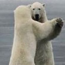 MadLab Presents FFN's Date Night, Now thru 2/16