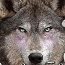 BECKY SHAW to Open 9/20 at Theatre Artists Studio