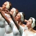 American Repertory Ballet Announces BEHIND THE CURTAIN: INSIDE SWAN LAKE, 11/9