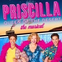 PRISCILLA QUEEN OF THE DESERT Comes to The Academy of Music, Feb.26-Mar. 3