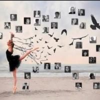 VIDEO: TwtrSymphony Performs Four Movements of Chip Michael's Symphony No. 2 'Birds…