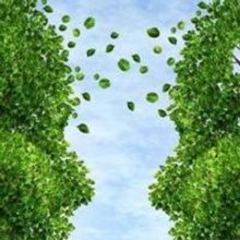 BWW Reviews: THE BIG A: SCENES FROM A VANISHING LANDSCAPE Gives Perspective at Capita