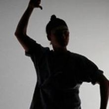 Signature Theatre Announces Supplemental Programming for THE DANCE AND THE RAILROAD