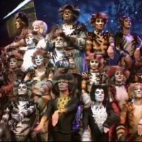 STAGE TUBE: Sneak Peek - Andrew Lloyd Webber's CATS, Coming to PBS This Friday Video