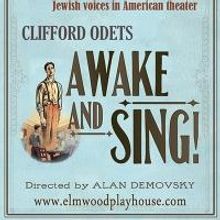 Elmwood Playhouse Presents AWAKE AND SING, Now thru 8/9
