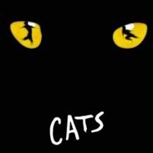 Atlanta Lyric Theatre Presents CATS, Now thru 8/24