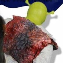 The South Florida Theatre League Invites Theatres & Patrons to Get in Bed With the Ar