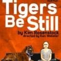 BWW Reviews: Ferocious Performances Highlight Hyde Park Theatre's TIGERS BE STILL