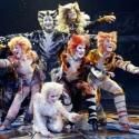 CATS Castchange - Neue Darsteller proben in Köln