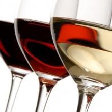 Coming Soon: MEET GREAT SOMMELIERS