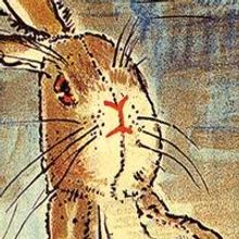 Lifeline Theatre KidSeries to Open with THE VELVETEEN RABBIT, 10/19