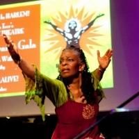 Photo Flash: National Black Theatre Celebrates 2014 Spirit Awards Gala