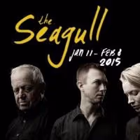 BWW Review: Crow's Theatre THE SEAGULL